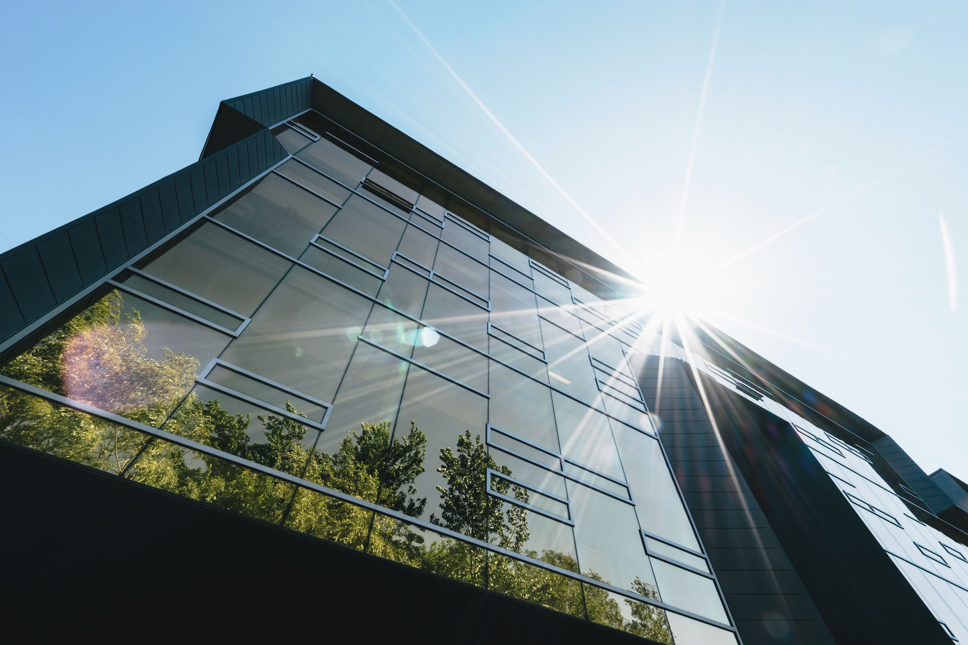 Low-angle view of a glass office tower facade with sunlight flare and tree reflections