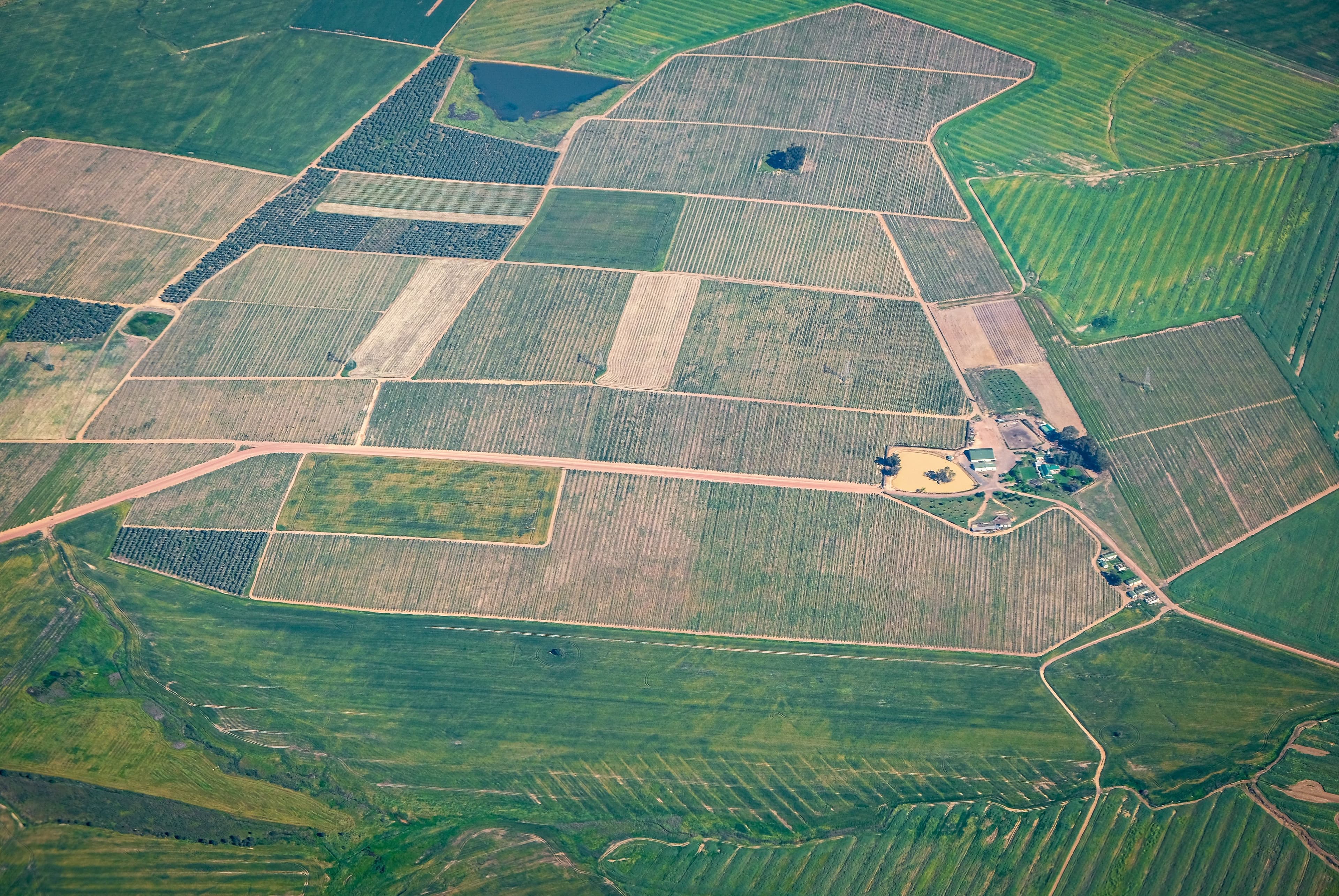 Aerial view of patterned farmland parcels, orchard rows and a small farmstead